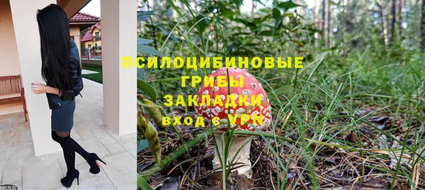 дурь Алексин