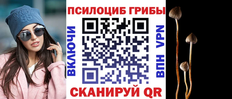hydra ССЫЛКА  Разумное  Псилоцибиновые грибы MAGIC MUSHROOMS  как найти  